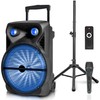 1600 Watts Bluetooth Speaker with Tripod, Wired Microphone & Remote