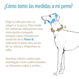 Galguita Amelie 0634438326816 Dog Collar Rainbow S