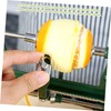 Ciieeo Handheld Multifunction Peeler Machine for Fruits Vegetables Die Cast