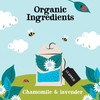 Clipper Organic Snore & Peace Chamomile Lavender Tea, 50 Tea