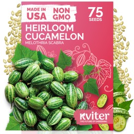 KVITER 75 Cucamelon Seeds for Planting (Melothria Scabra) – Mexican Sour Gherkin Seeds, Gherkin Cucumber, Mexican Mini Watermelon – Heirloom Vegetable Seed for Outdoor & Indoor Garden, Containers