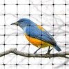 Tenax 2A240037 Bird Net 14'x14' Black