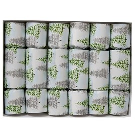 Alpine Forest Decorative Party Favors - Set of 6 party table favors with tissue crown, motto, and small handy, household gadget enclosed