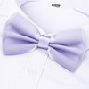 Alizeal Mens Adjustable Pre-tied Solid Bow Tie, lilac