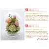 ArtFour Season Half "Glowing Rose" Firefly Preserved Flowers