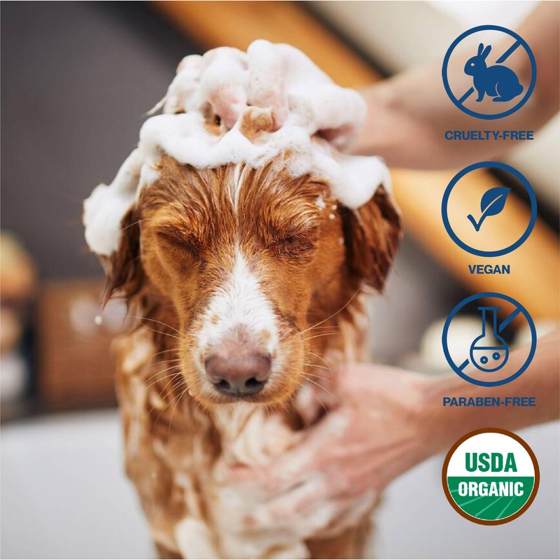 uh*Roh*Muh Organic Castile Liquid Soap - USDA Certified Versatile Soap