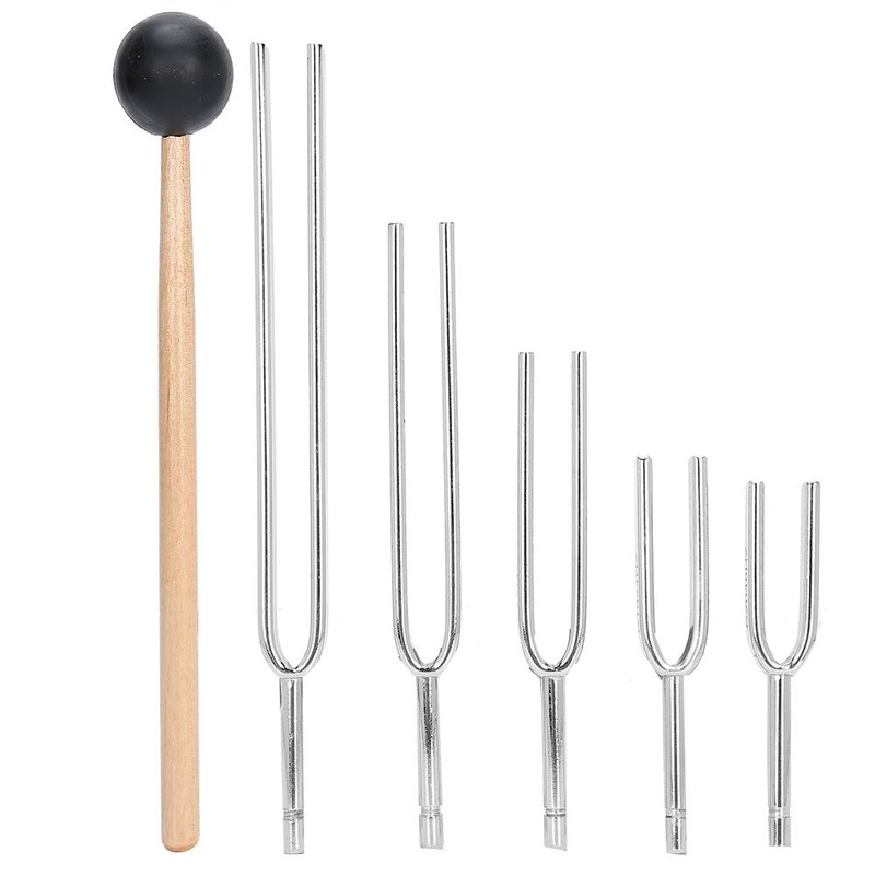 Brrnoo Tuning Fork Set, 5PCS 128HZ+256HZ+512HZ+1024HZ+2048HZ Medical Tuning Fork Hearing