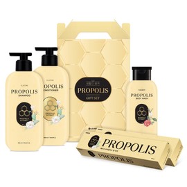 LG Household & Health Care Quality of Life Propolis Gift Set No. Q, 1 set / LG생활건강 생활의품격 프로폴리스 선물세트 Q호, 1세트