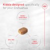 ROYAL CANIN, Adult - Chihuahua, Croquetas para Perro, 1.1kg