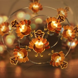 Sakayo [Timer] Fall Thanksgiving Turkey Lights Decorations, 10FT 30LED Copper Wire Fairy Lights Thanksgiving Turkey Decor, Thanksgiving Lights Indoor Outdoor Home Party Autumn Harvest Fall Decor