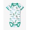 NAME IT Baby Boys' Short Sleeve Bodysuits Pack of 5,