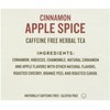 Celestial Seasonings Cinnamon Apple Spice Tea Bags, 20 ct, 2