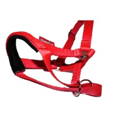 Headcollar Dog Halter/Training Head Collar Training Tool Dog, Head Harness to Stop Pulling on the Lead, Easy to Use, Padded Nose Band, Adjustable (1, Red)