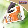Bonide Mosquito Beater Area Mosquito Repellent , 1.3 lbs, Granules