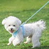 Walking pet Harness and Leash Set: Step in Vest Harness,Reflective