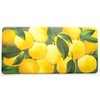 Anti-Fatigue Kitchen Printed 1/2" Thick Cushioned Comfort Mat, 20" x