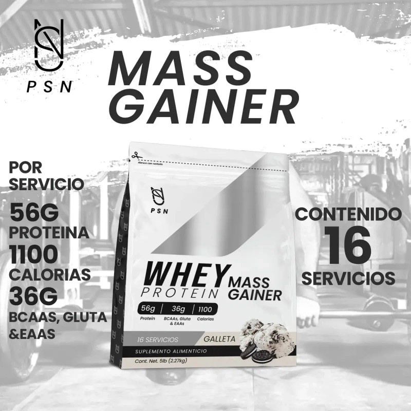 Suplemento Polvo Psn Whey Protein Mass Gainer 27kg Galleta