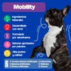Dogelthy Mobility Suplemento Condroprotector en Polvo para Perro