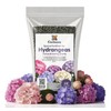 𝐁𝐄𝐒𝐓𝐒𝐄𝐋𝐋𝐄𝐑 Slow Release Hydrangea Fertilizer with Iron & Sulfur –