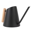 Watering Can with Long Spout 800ml Stainless Steel Matte Indoor