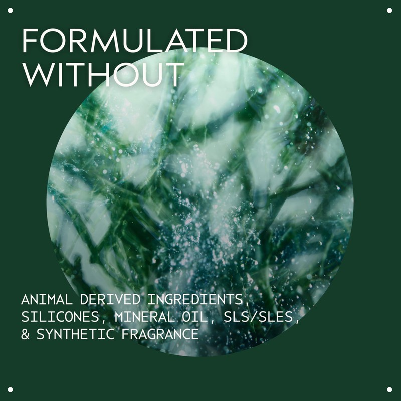 Aveda Botanical Kinetics Exfoliant | Liquid Face Exfoliator for All