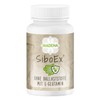 MADENA SiboEx intestinal bacteria complex without soluble fibre, 60 capsules