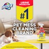 Resolve Urine Destroyer Spray – Pet Stain and Odor Remover,