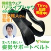 Vidup Posture Support Belt, Stooping Belt (Non-Pulling Belt)
