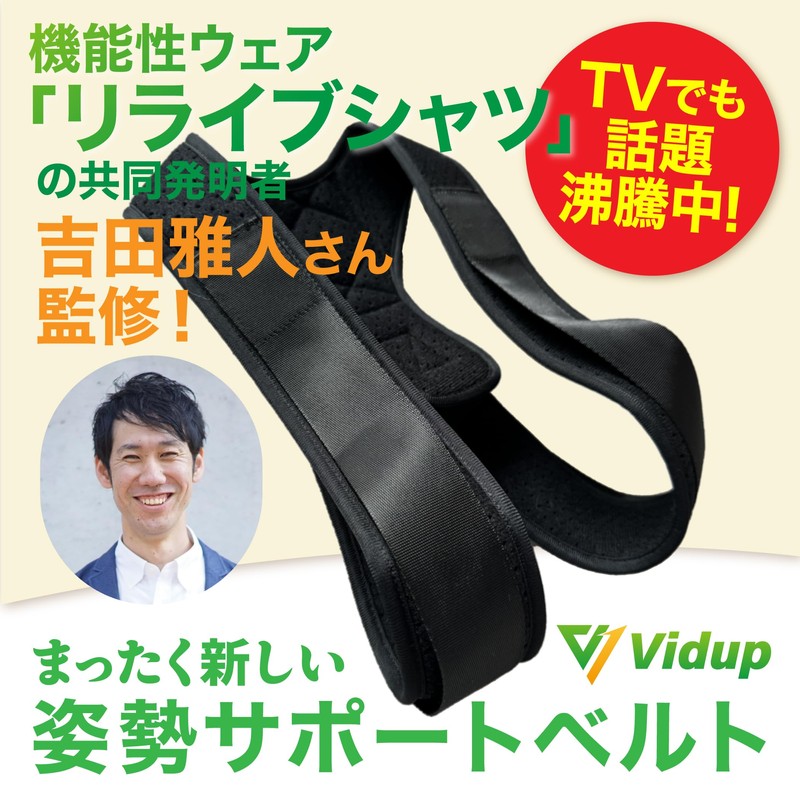 Vidup Posture Support Belt, Stooping Belt (Non-Pulling Belt)