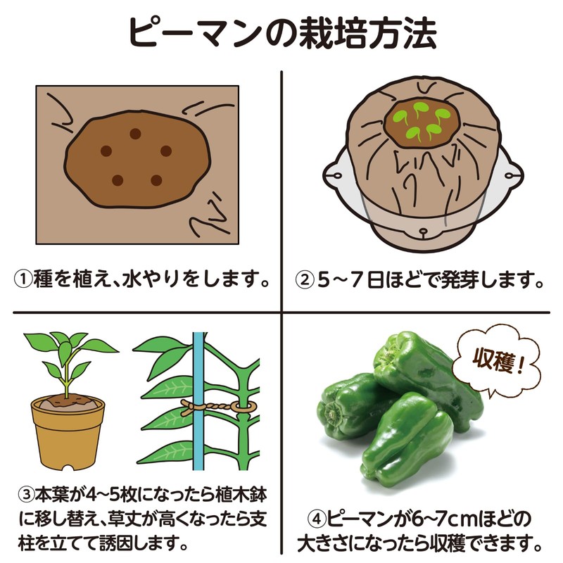 Artec 102937 Home Fun Cultivation Kit Green Peppers