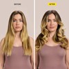Drybar The Roller Club Curling Hot Rollers | 10 Rollers,