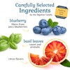Bigelow Botanicals Cold Water Infusion Blueberry Citrus Basil Herbal Tea,