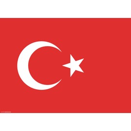 Table Set | Place Mat Made of Premium Paper - Turkey Flag - Pack of 10 - High-Quality Table Decoration 44 x 32 cm Ideal Decoration for Themed Parties or Turkish Evenings