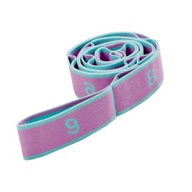 xingmo Stretch Strap Latin Dance Resistance Bands Pilates Yoga Elastic Stretching Belt (light purple)
