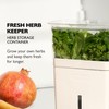 Cole & Mason Fresh Herb Keeper - Acrylic Storage Container