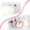 Hamster Recovery Collar Protection Cone After Surgery, Small Animals Adjustable