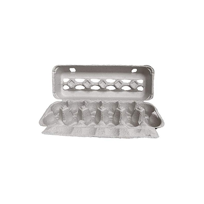 TECS Grade A Extra Large Printed Paper-Pulp Carton with UPC