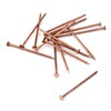 MY MIRONEY 10 Pack 3.4 Inch Copper Nails Solid Copper