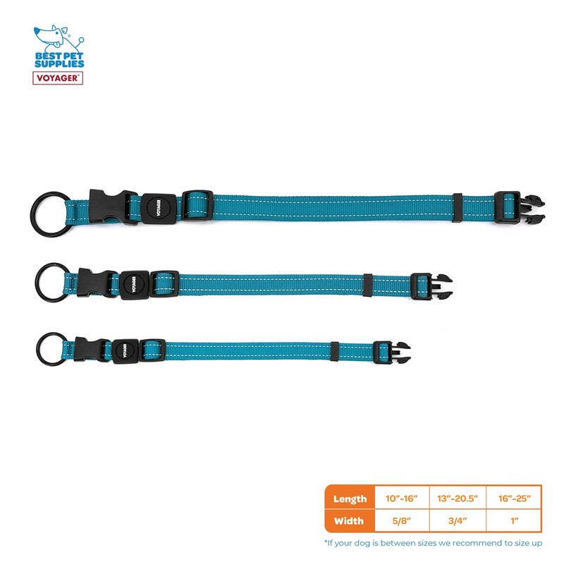 Best Pet Supplies Reflective Dog Collar with Adjustable Length, Heavy-Duty