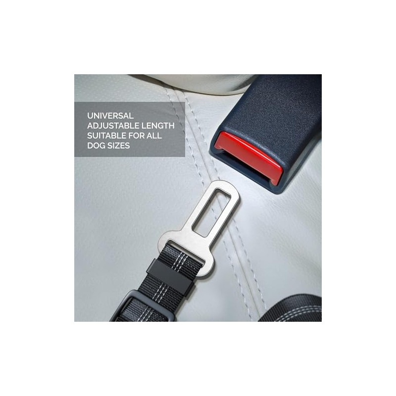 Removable Dog Seat Belt Harness for Car