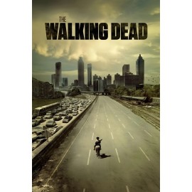 THE WALKING DEAD 11"x17" TV SERIES POSTER PRINT #1