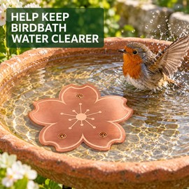 2-Pack Copper Bird Bath Disks with Triple-Point Support, 3.94 Inch Outdoor Birdbath Accessories