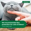 Advantage II Kitten Vet-Recommended Flea Treatment & Prevention | Cats