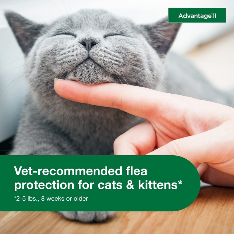 Advantage II Kitten Vet-Recommended Flea Treatment & Prevention | Cats