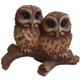 Vivid Arts BG-TWNY-D Woodland Owl on Branch | Resin Home Garden Decoration