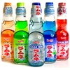 Ramune Japanese Soda Variety Pack of 2 - Shirakiku Multiple