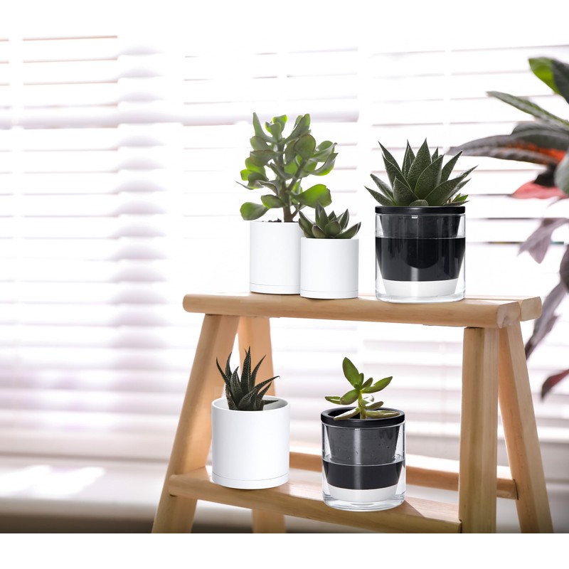 D'vine Dev 4 Inch Design Self Watering Planter for Indoor