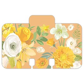 Fileyeye 4 inchx 2.6 inchRotary File Card Refills Dividers for Rolodex (C-Dividers)