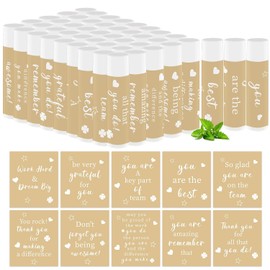 50 piezas de obsequios de agradecimiento, bálsamos labiales a granel, obsequios de agradecimiento para el personal, productos para el cuidado de los labios para compañeros de trabajo, profesor