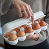 EGGS TO GO Egg Box